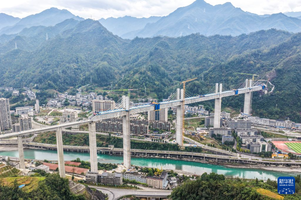 捷报比分